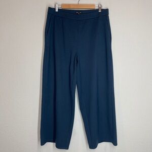 Eileen Fisher Teal Ankle Pants